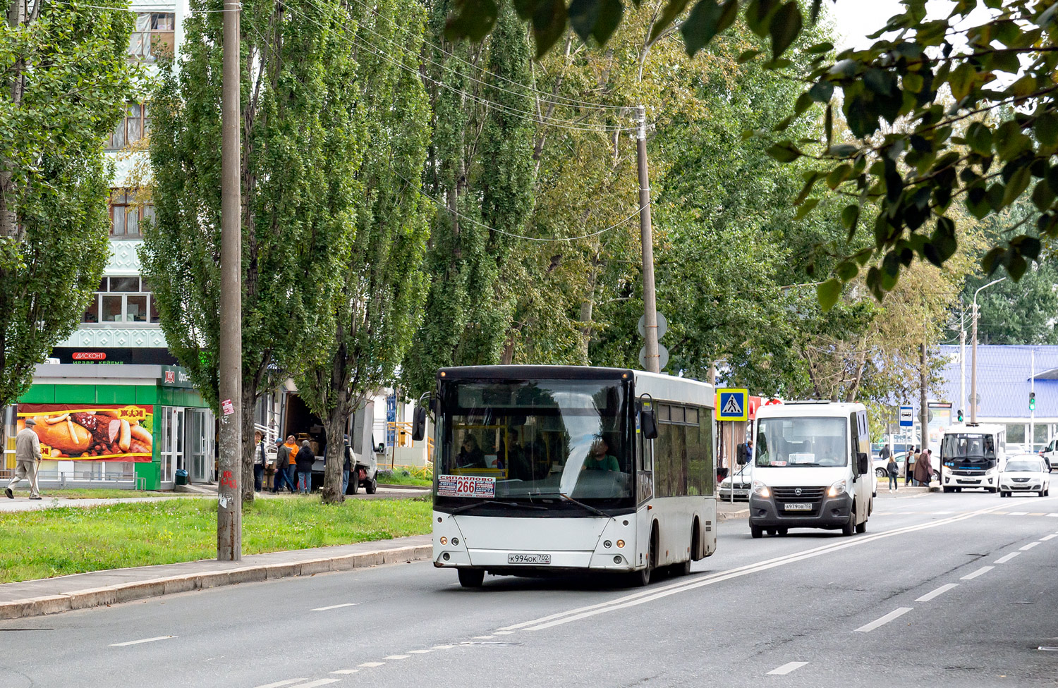 Башкортостан, МАЗ-206.067 № К 994 ОК 702