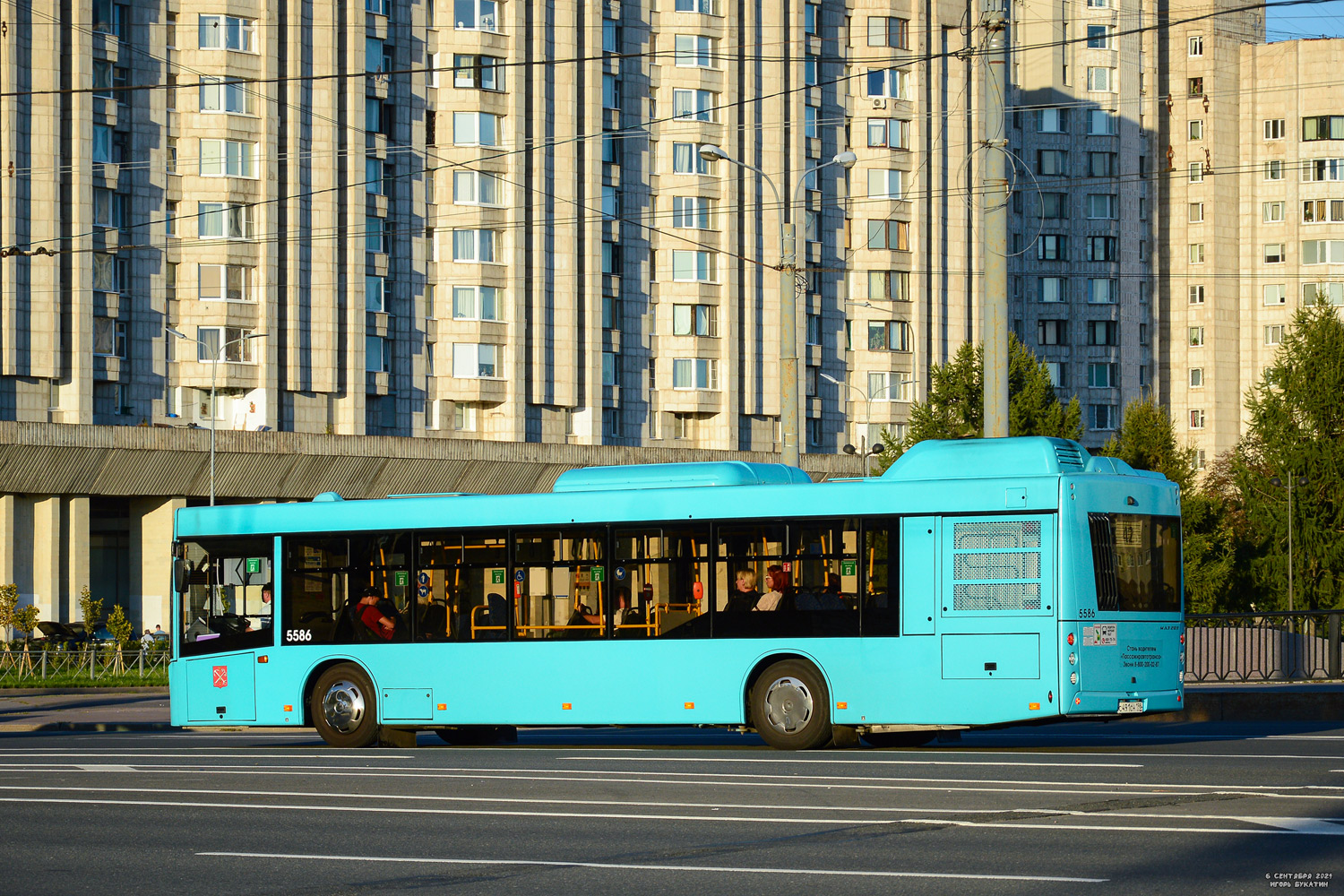 Санкт-Петербург, МАЗ-203.047 № 5586