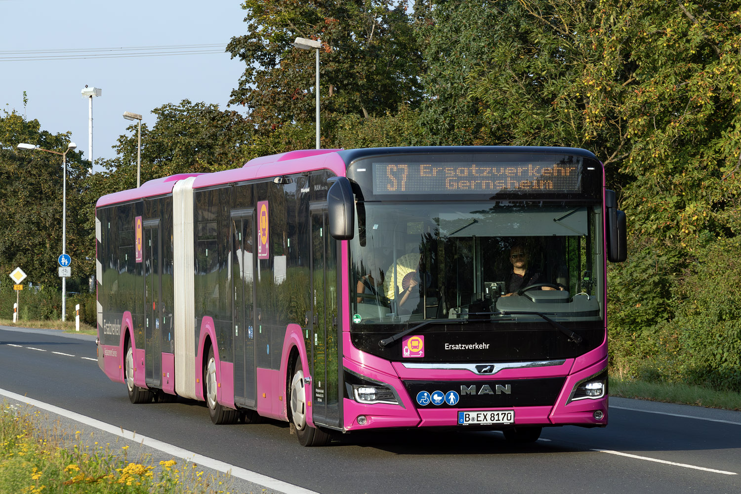 Бранденбург, MAN 18C Lion's City 18 NG360 EfficientHybrid № 817; Гессен — SEV · Riedbahn · Frankfurt am Main <> Mannheim · 15.07.2024 — 14.12.2024