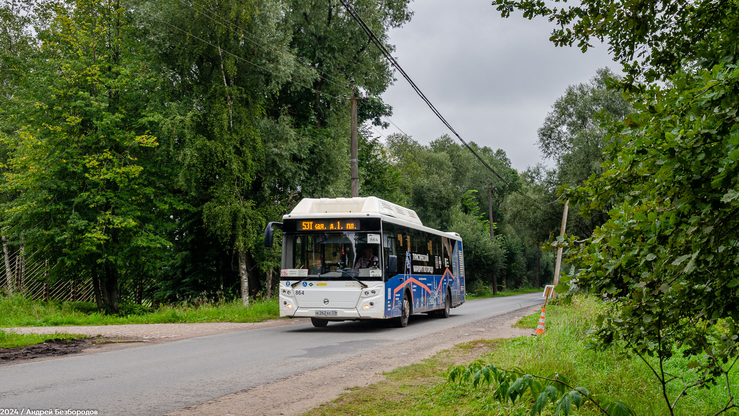 Новгородская область, ЛиАЗ-5292.67 (CNG) № 864