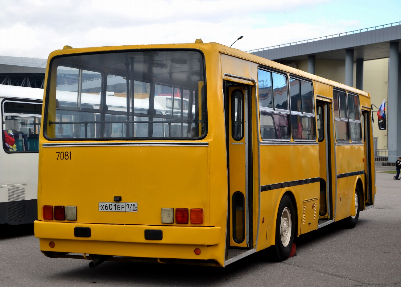 Санкт-Петербург, Ikarus 260.37 № 7081