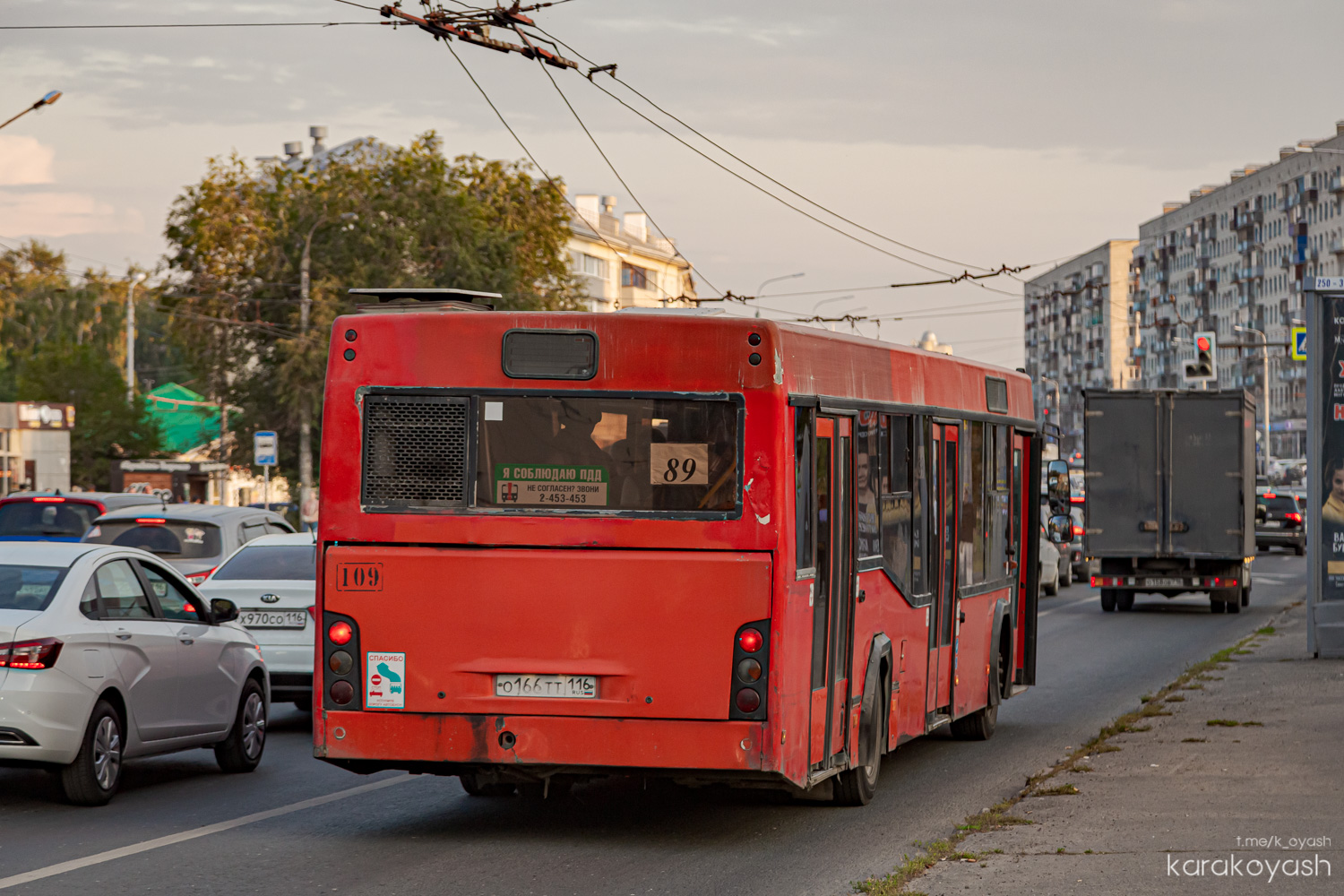 Татарстан, МАЗ-103.465 № 109