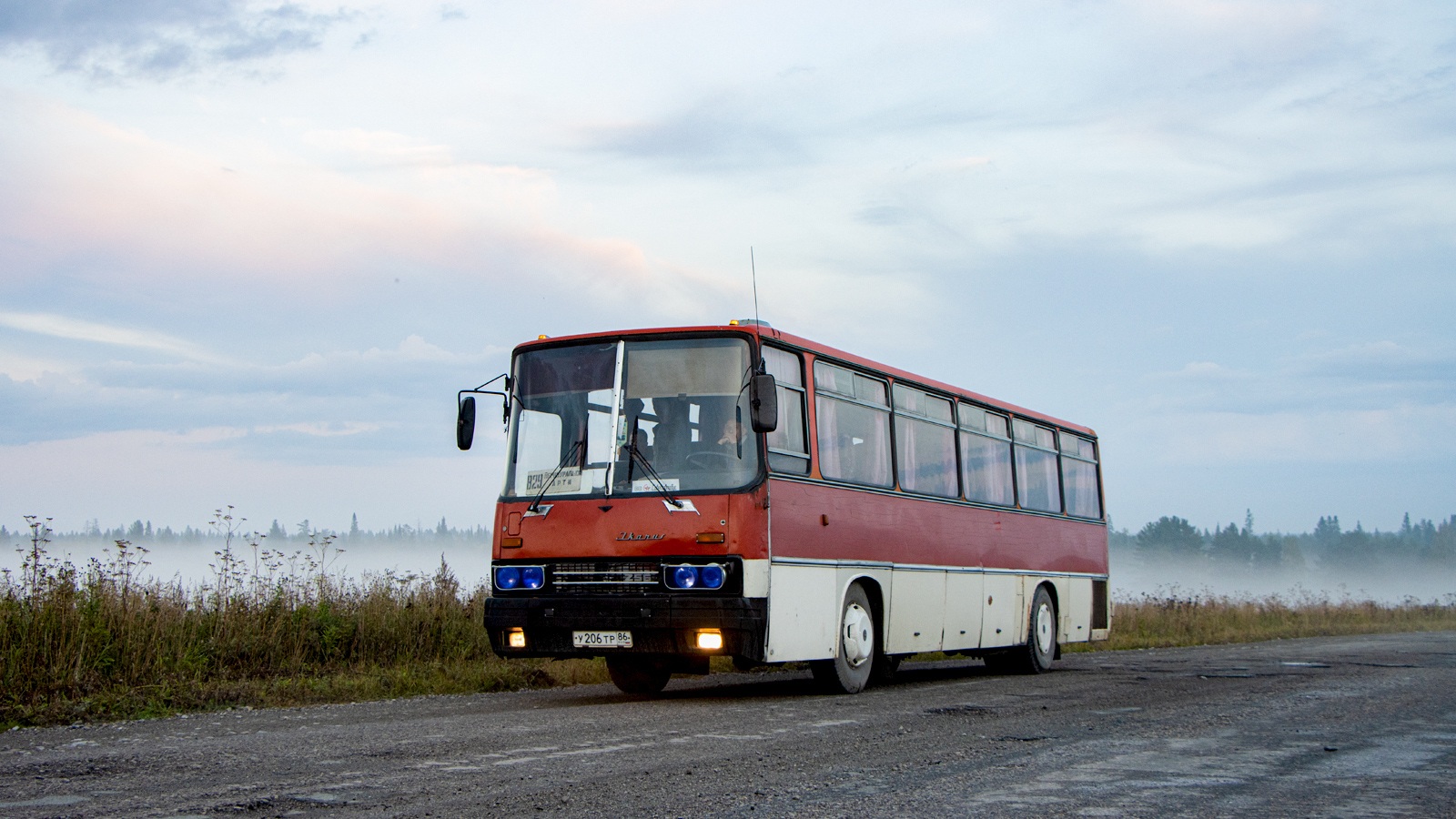 Свердловская область, Ikarus 256.74 № У 206 ТР 86