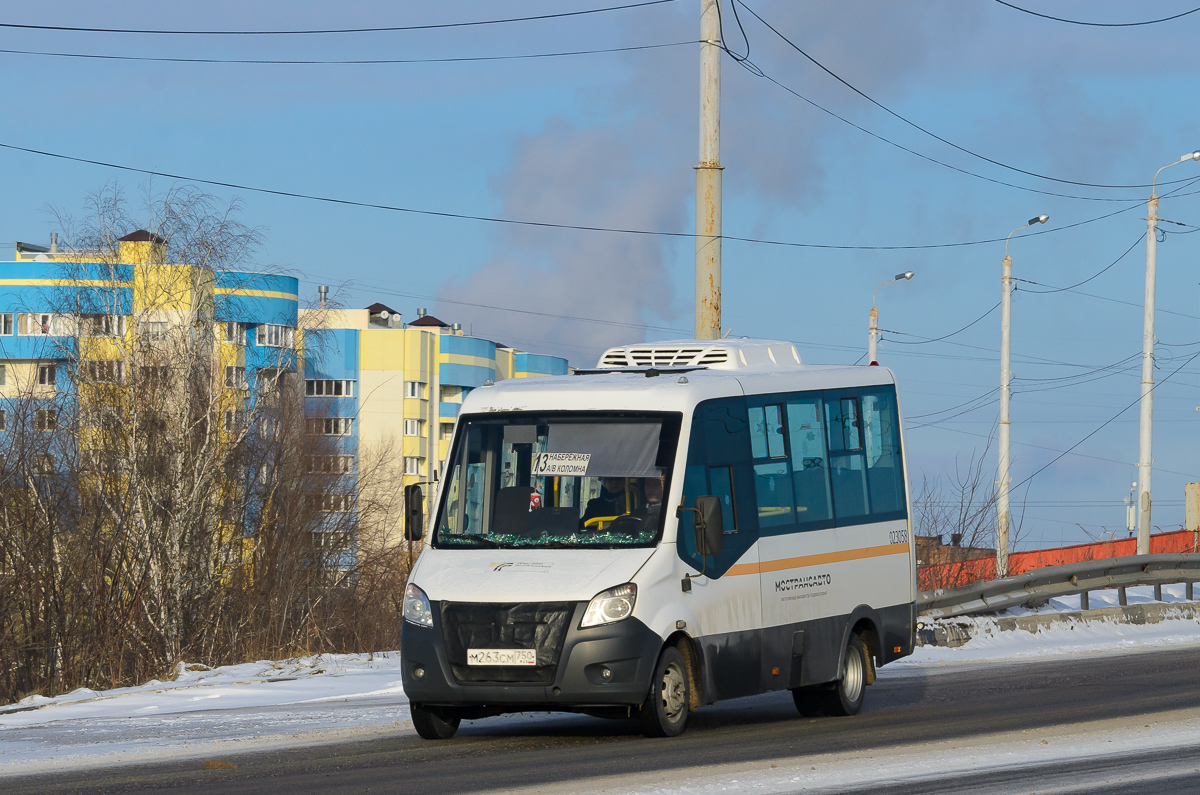 Московская область, Луидор-2250DS (ГАЗ Next) № 023058