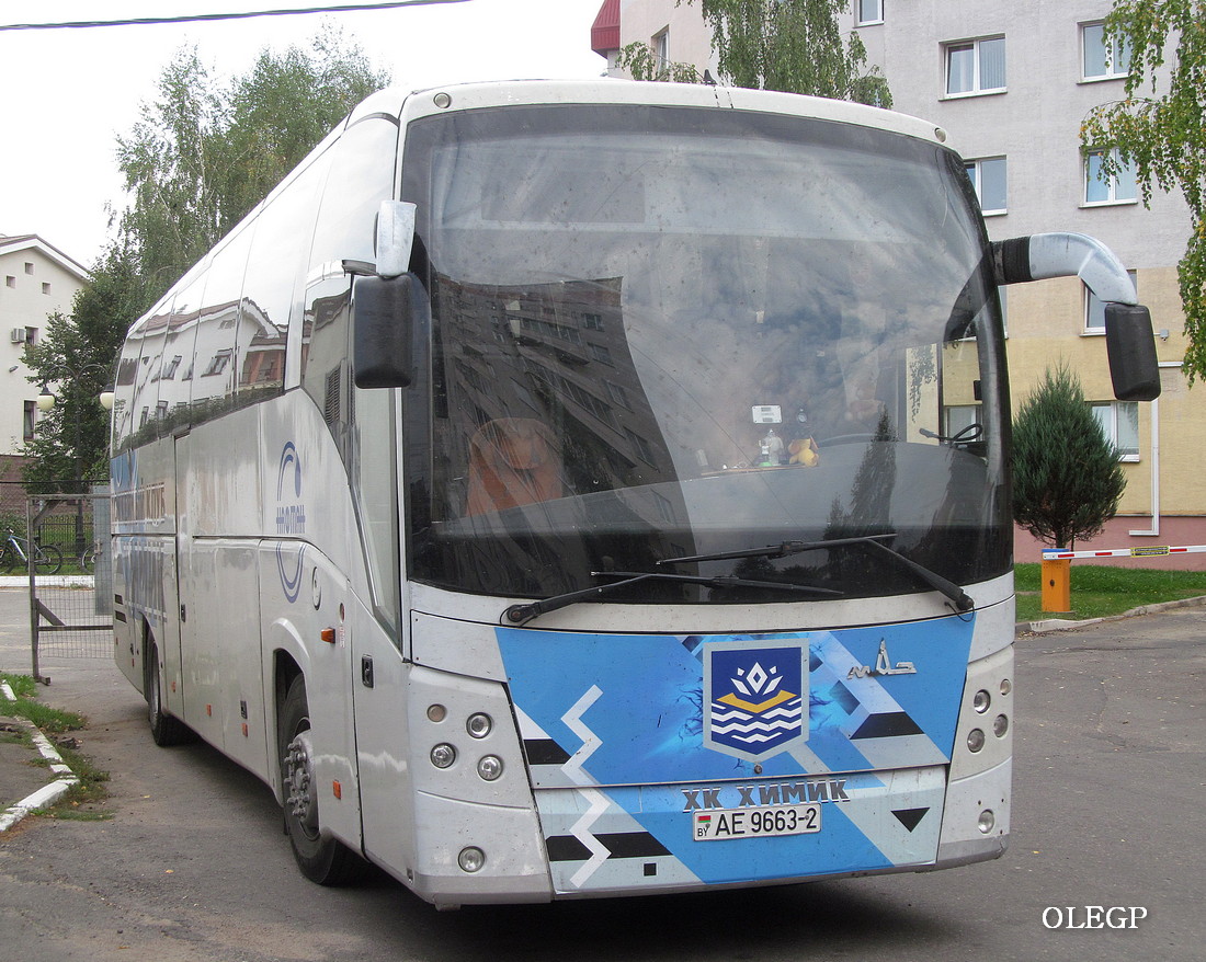 Витебская область, МАЗ-251.050 № АЕ 9663-2