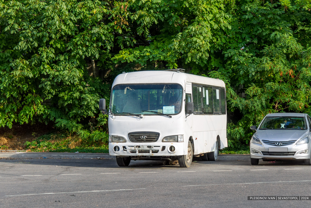 Ростовская область, Hyundai County LWB C09 (ТагАЗ) № 003