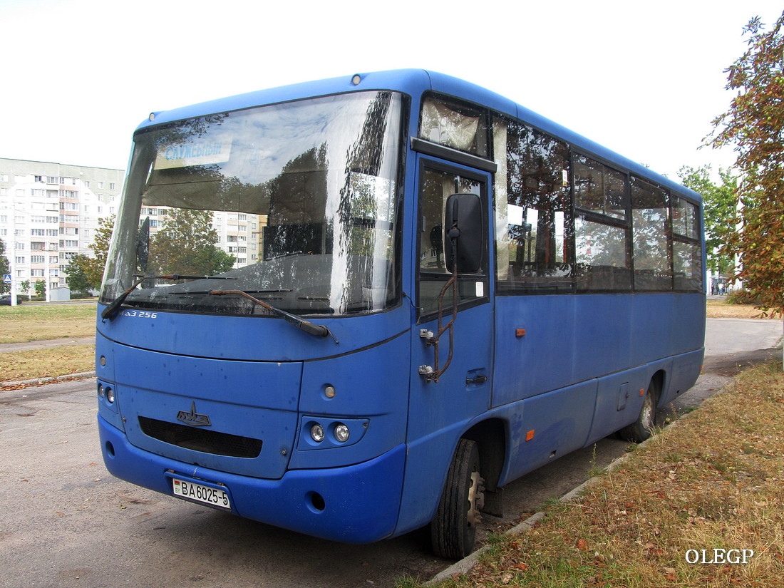 Минская область, МАЗ-256.270 № ВА 6025-5