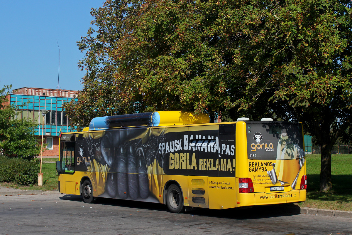 Литва, MAN A21 Lion's City NL243 CNG № 1160