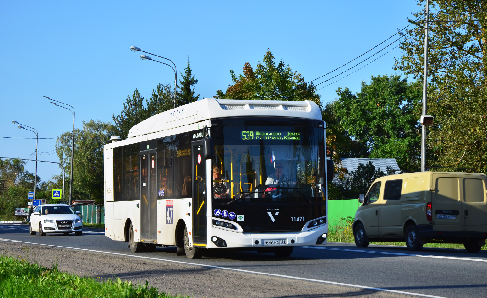 Ленинградская область, Volgabus-4298.G4 (CNG) № 11471