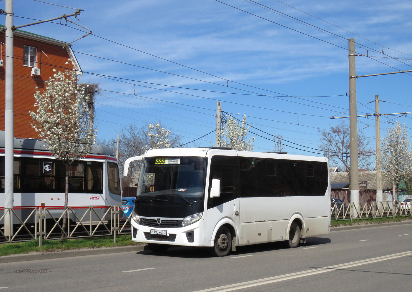 Краснодарский край, ПАЗ-320435-04 "Vector Next" № О 110 ХО 01 Краснодарский край, ПАЗ-320435-04 "Vector Next" № О 110 ХО 01