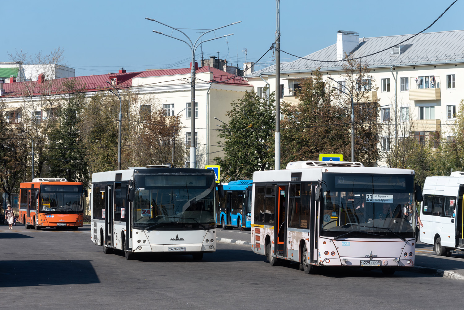 Московская область, МАЗ-206.085 № Х 494 МК 790; Московская область, МАЗ-206.086 № 051079