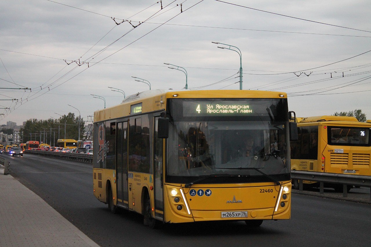 Yaroslavl region, MAZ-206.047 № 22460