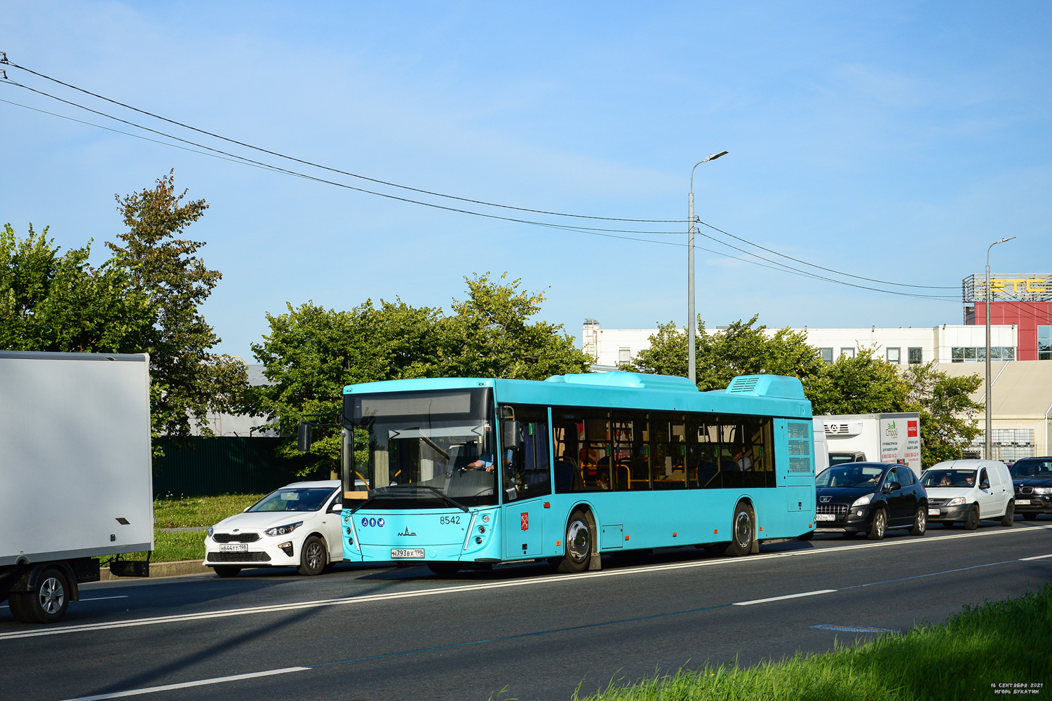 Санкт-Петербург, МАЗ-203.047 № 8542