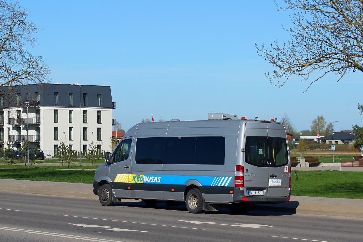 Литва, Mercedes-Benz Sprinter Transfer 45 № 119