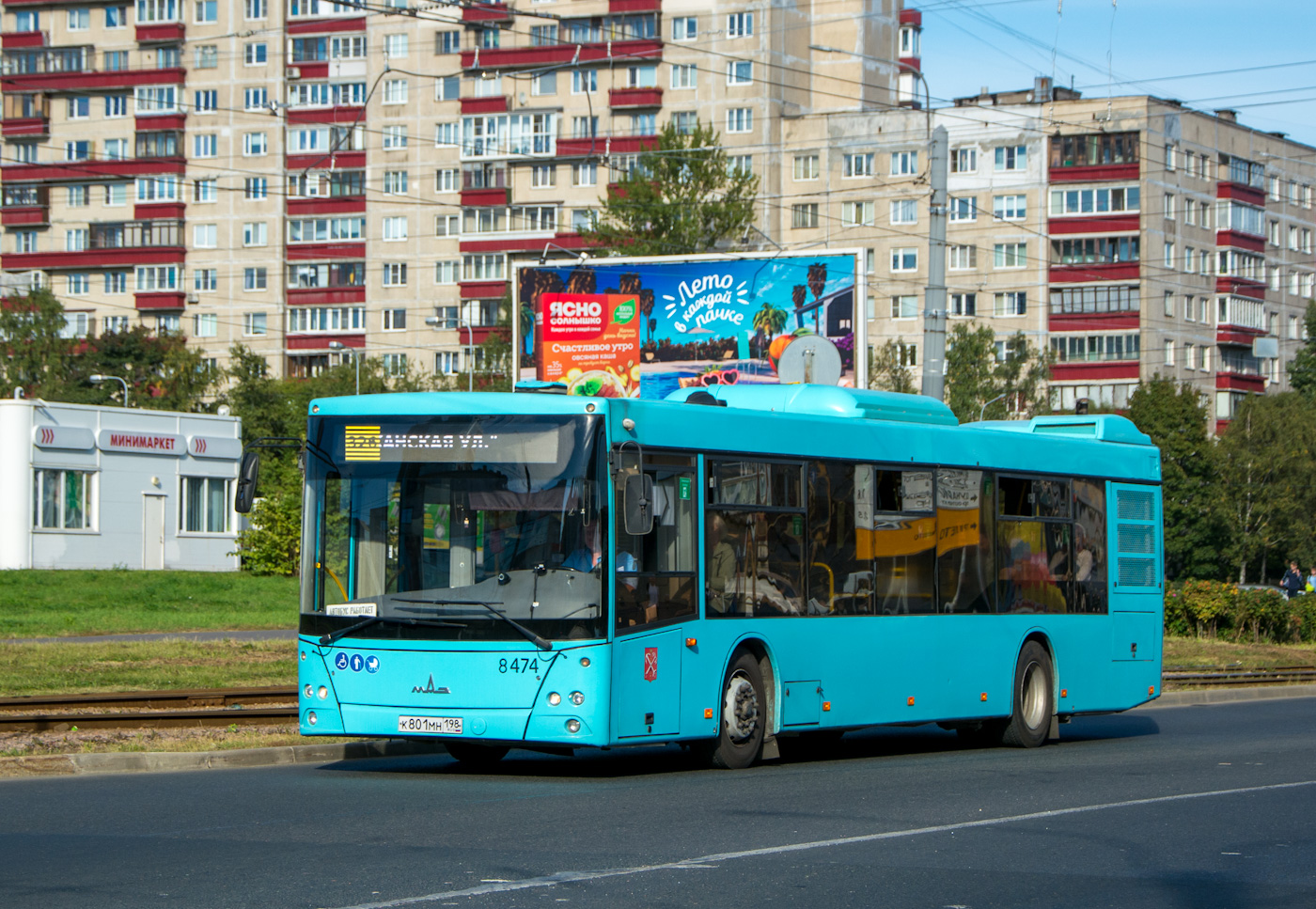 Санкт-Петербург, МАЗ-203.016 № 8474 Санкт-Петербург, МАЗ-203.016 № 8474