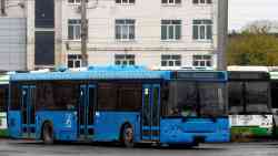 274 КБ