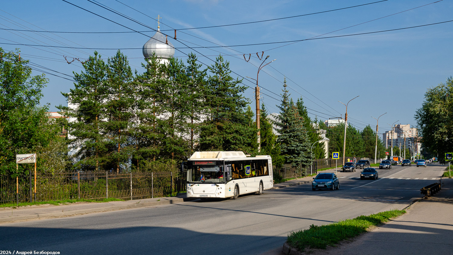 Новгородская область, ЛиАЗ-5292.67 (CNG) № 213