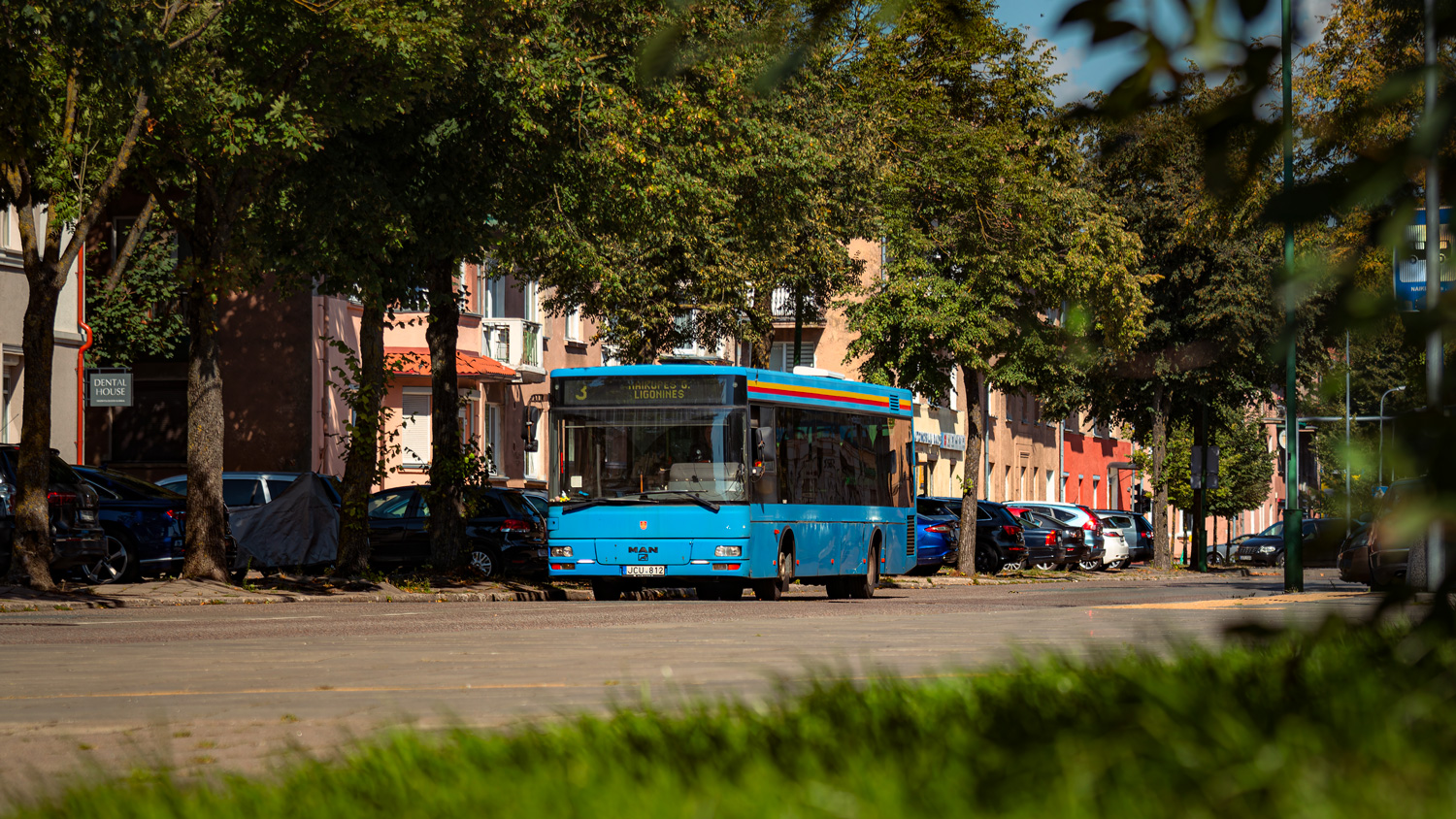 Литва, Caetano City Gold Viabus № JCU 812