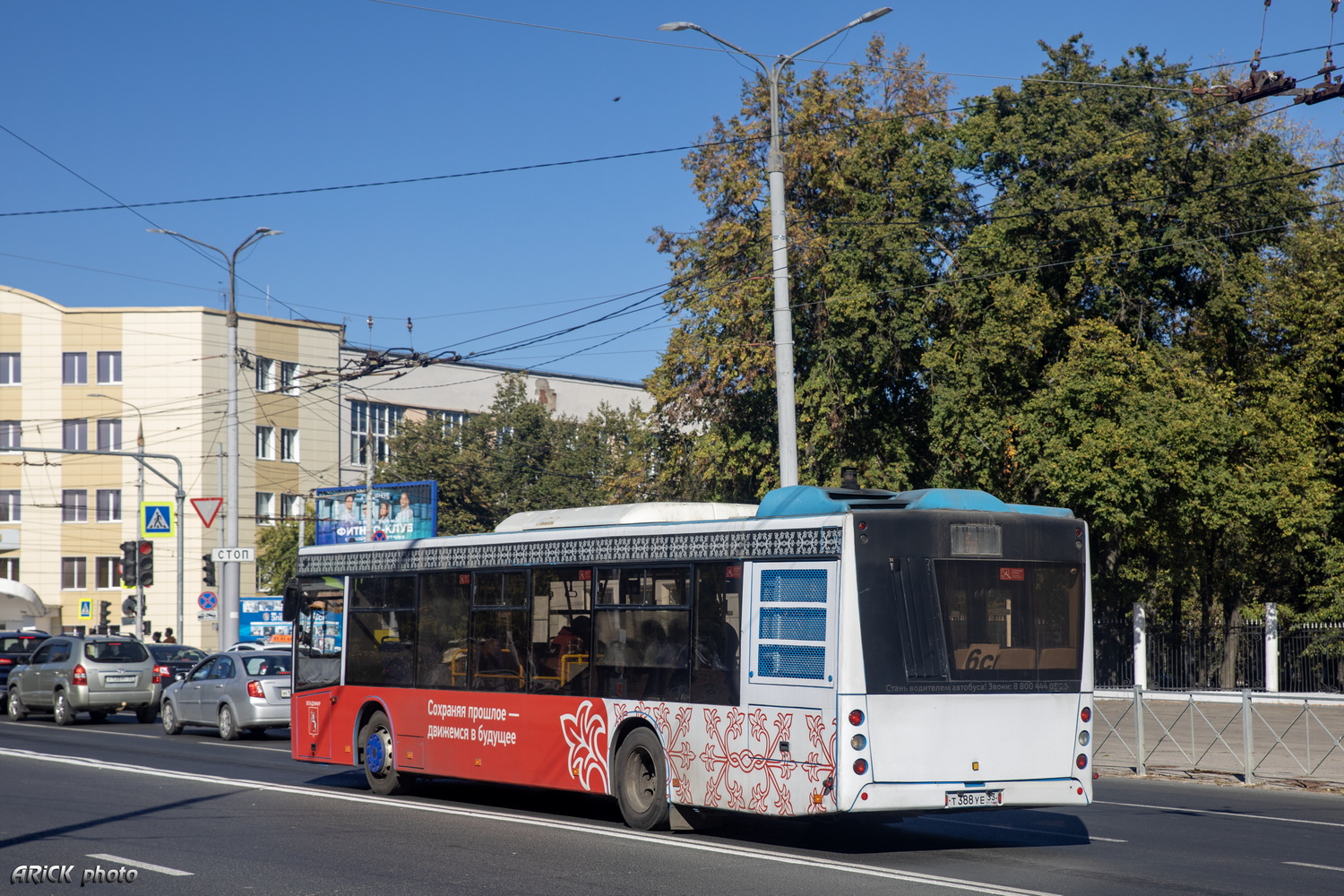 Владимирская область, МАЗ-203.069 № Т 388 УЕ 33