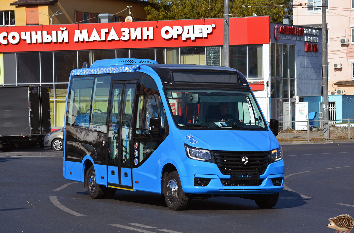 Нижегородская область — Новые автобусы Горьковского автомобильного завода; Москва — Разные фотографии