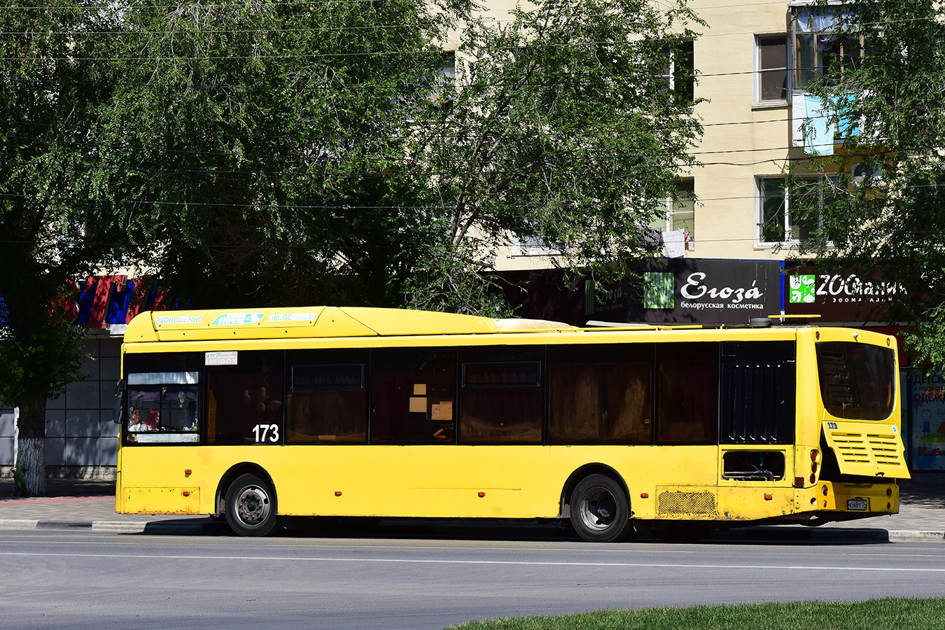 Волгоградская область, Volgabus-5270.G2 (CNG) № 173