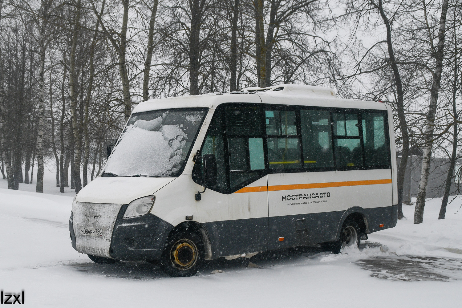 Московская область, Луидор-2250DS (ГАЗ Next) № 217