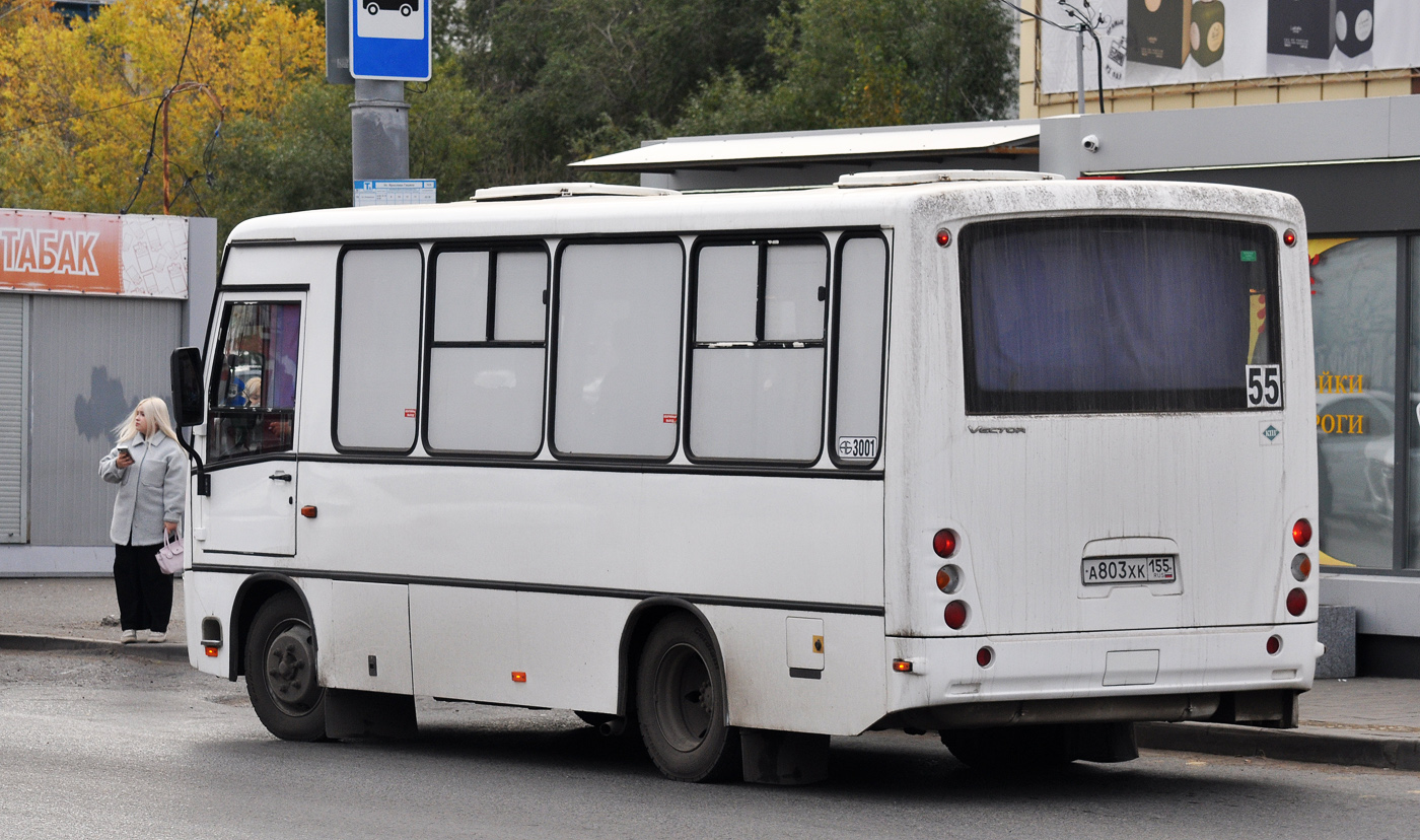 Омская область, ПАЗ-320302-02 "Вектор" № 3001