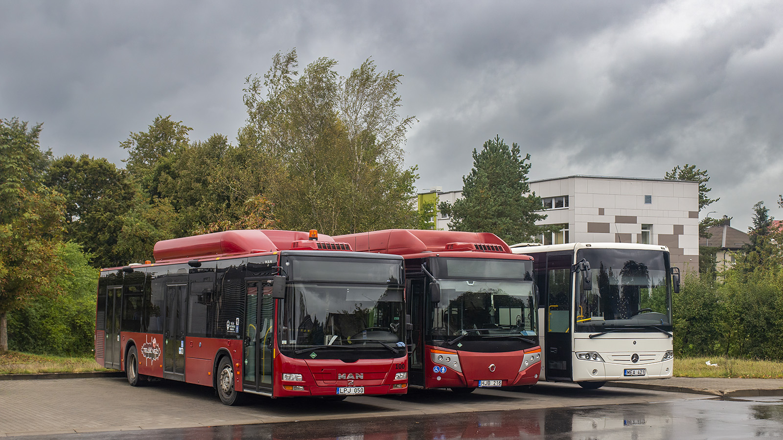 Литва, MAN A21 Lion's City NL313 CNG № 100