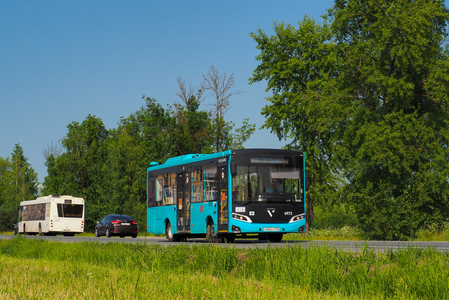 Санкт-Петербург, Volgabus-4298.G4 (LNG) № 6973