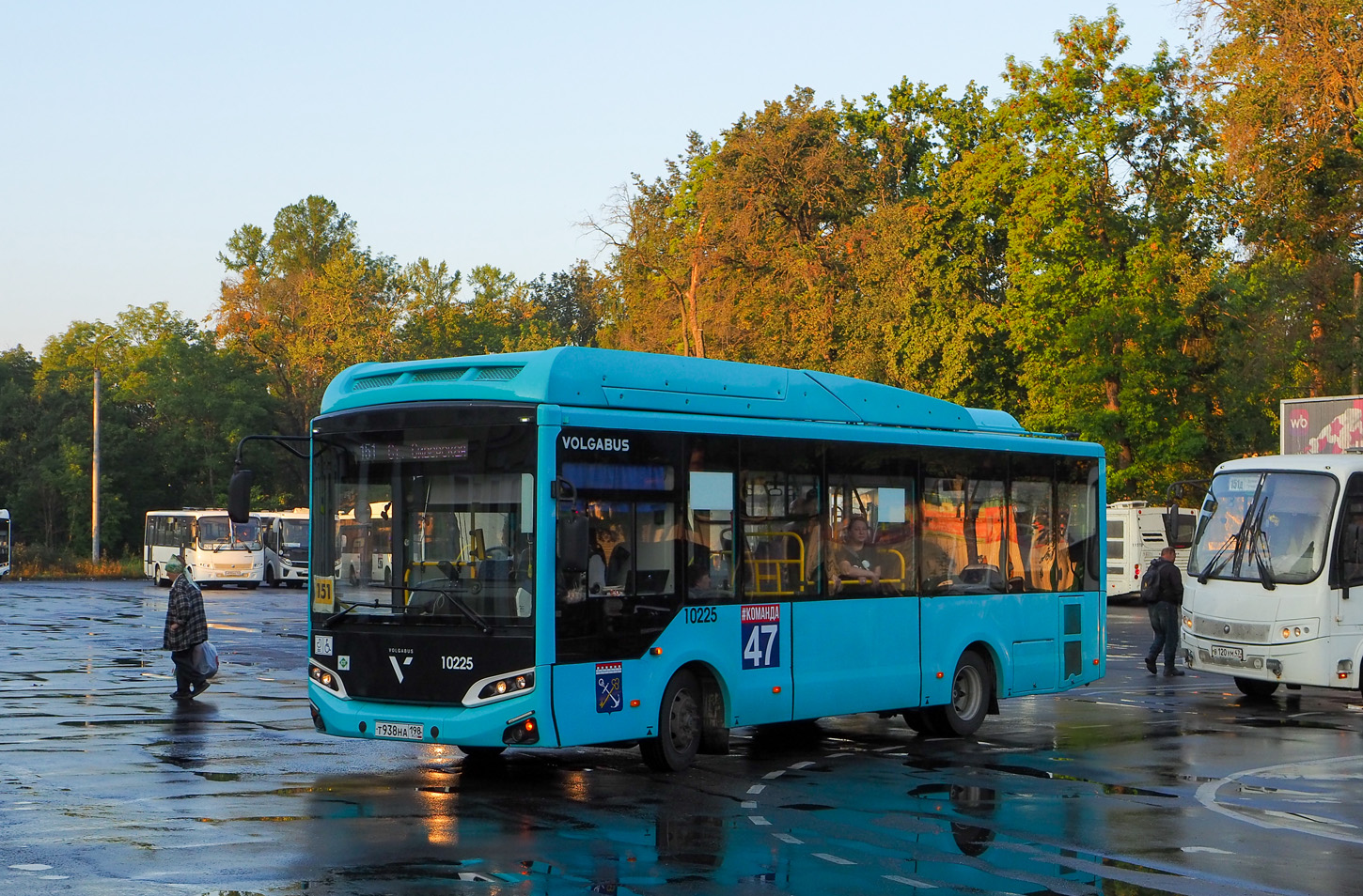 Ленинградская область, Volgabus-4298.G4 (CNG) № 10225