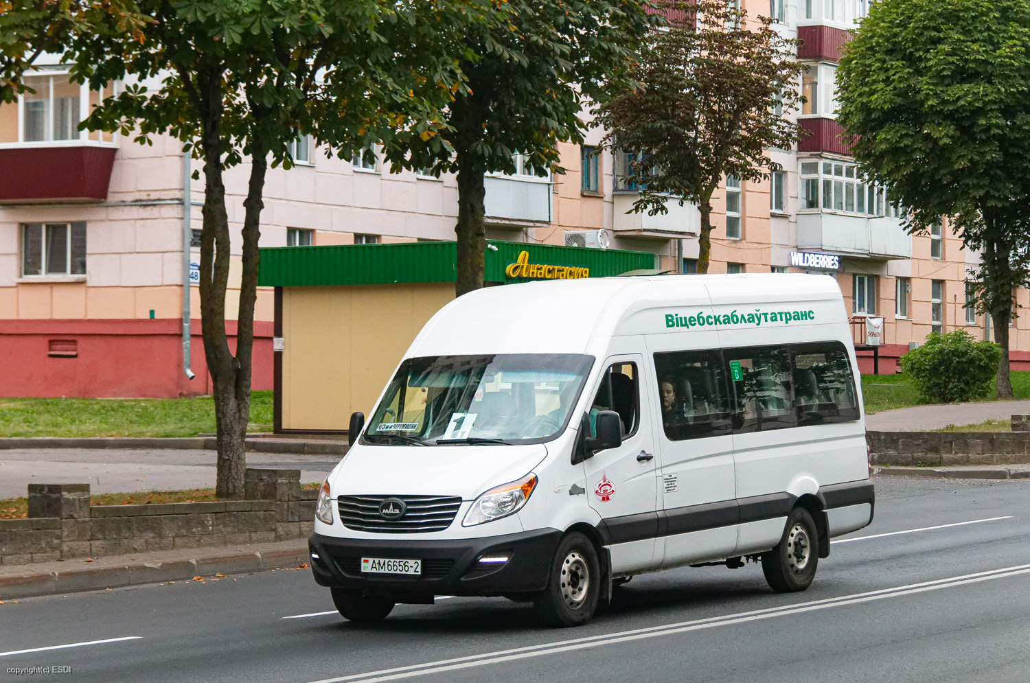 Витебская область, МАЗ-281.040 № АМ 6656-2