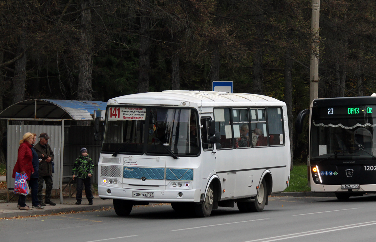 Новосибирская область, ПАЗ-32054 № К 080 АЕ 154
