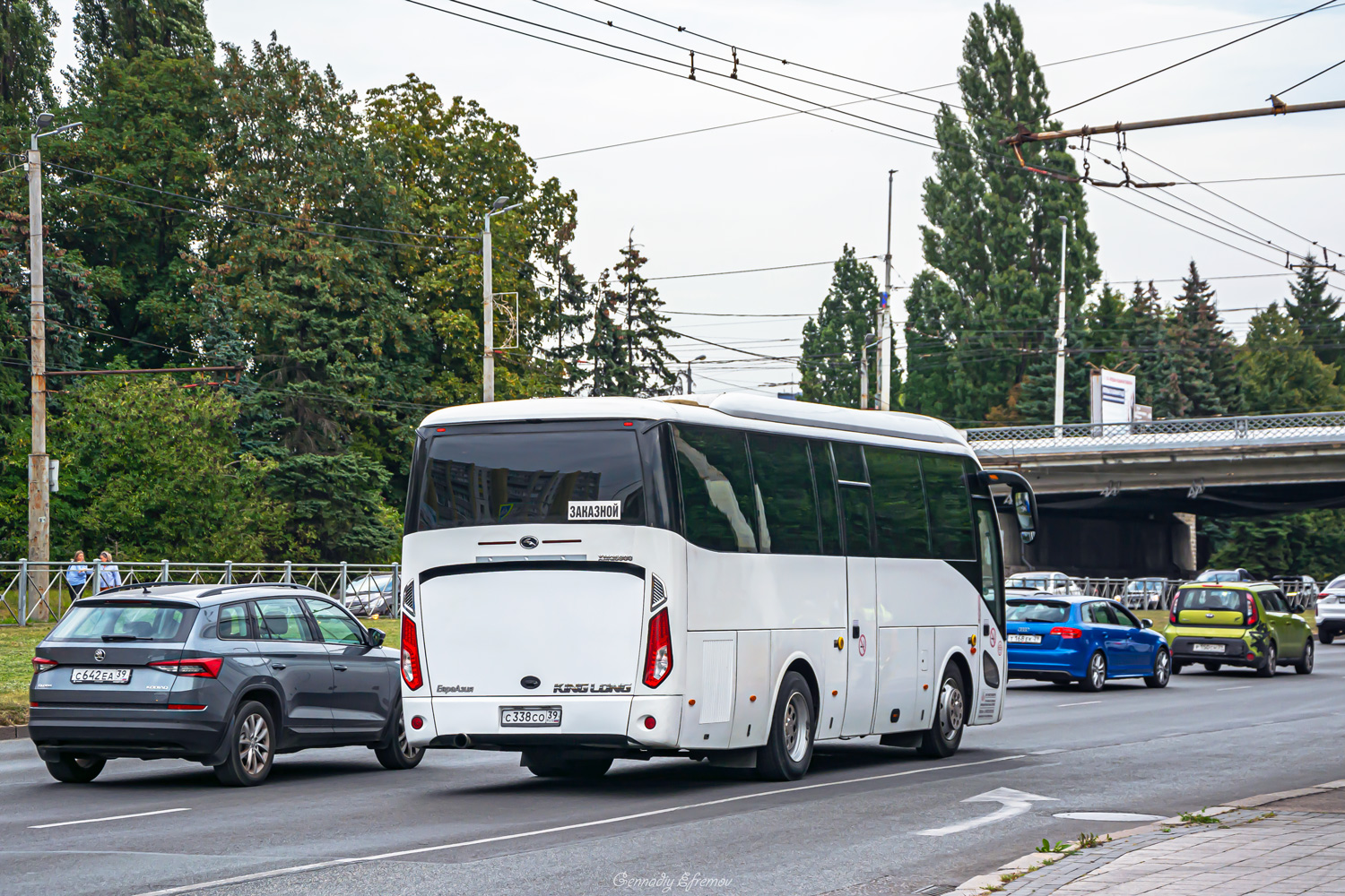 Калининградская область, King Long XMQ6900 № С 338 СО 39