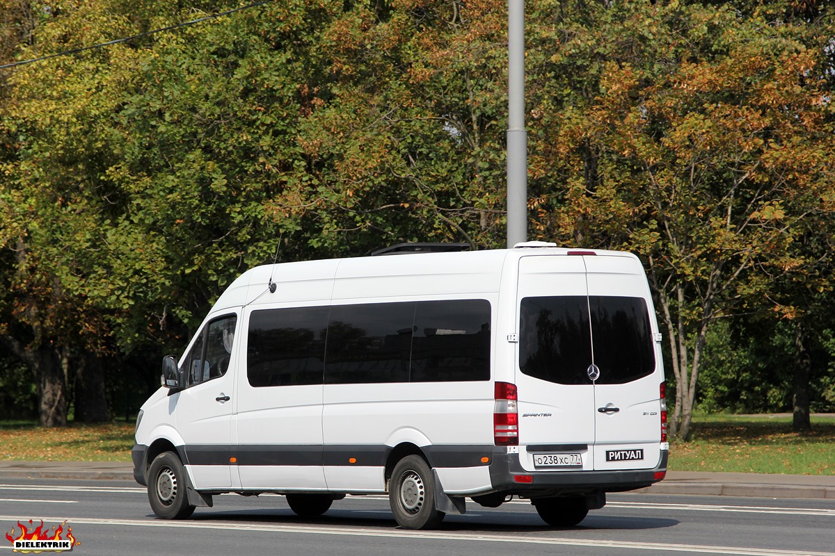 Москва, Луидор-223640 (MB Sprinter) № О 238 ХС 77