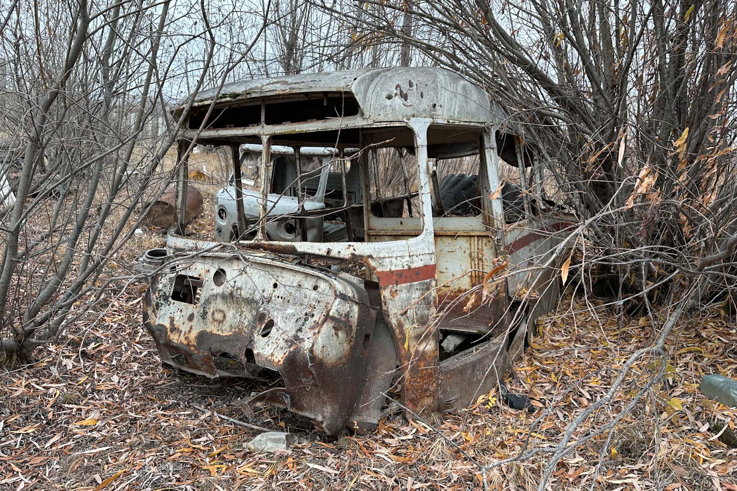 Саха (Якутия) — Автобусы без номеров