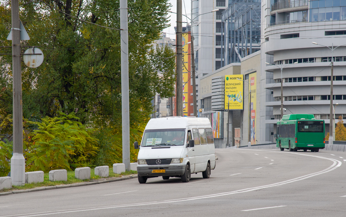 Днепропетровская область, Mercedes-Benz Sprinter W903 312D № AE 9199 AA