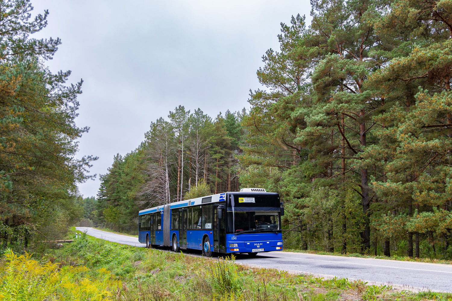 Псковская область, MAN A23 NG263 № 156