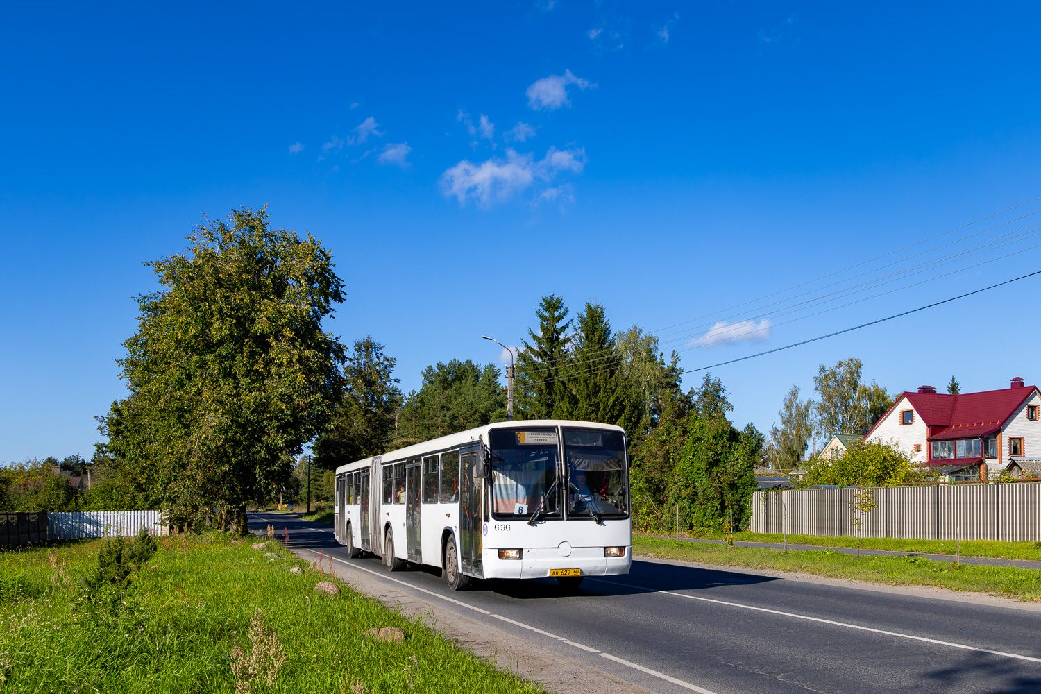 Псковская область, Mercedes-Benz O345G № 696