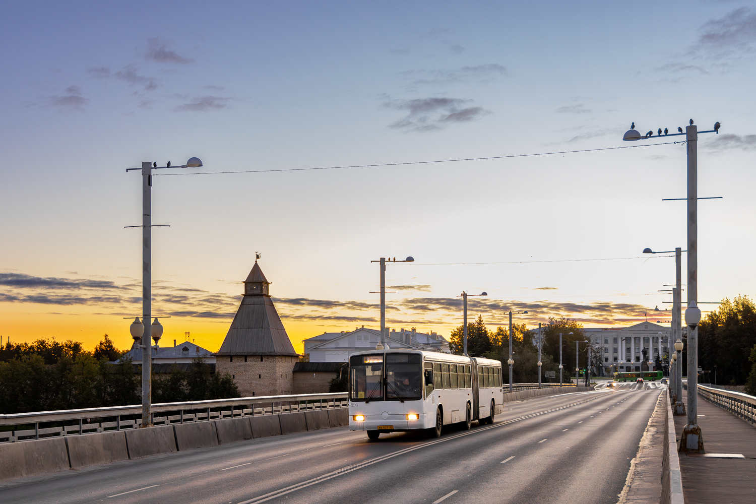 Псковская область, Mercedes-Benz O345G № 696