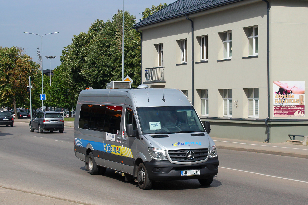 Литва, Mercedes-Benz Sprinter Transfer 45 № 119