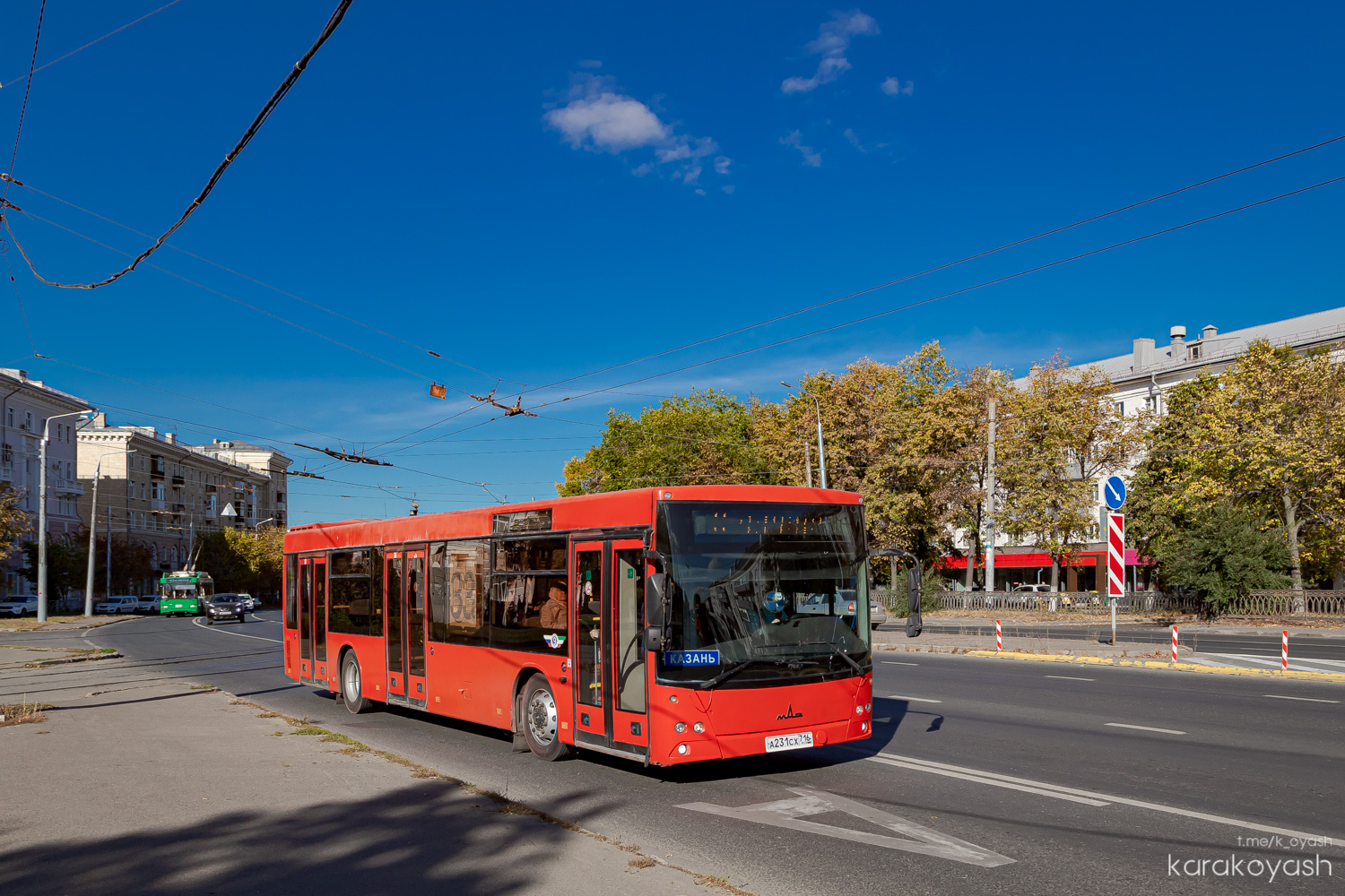 Татарстан, МАЗ-203.069 № А 231 СХ 716