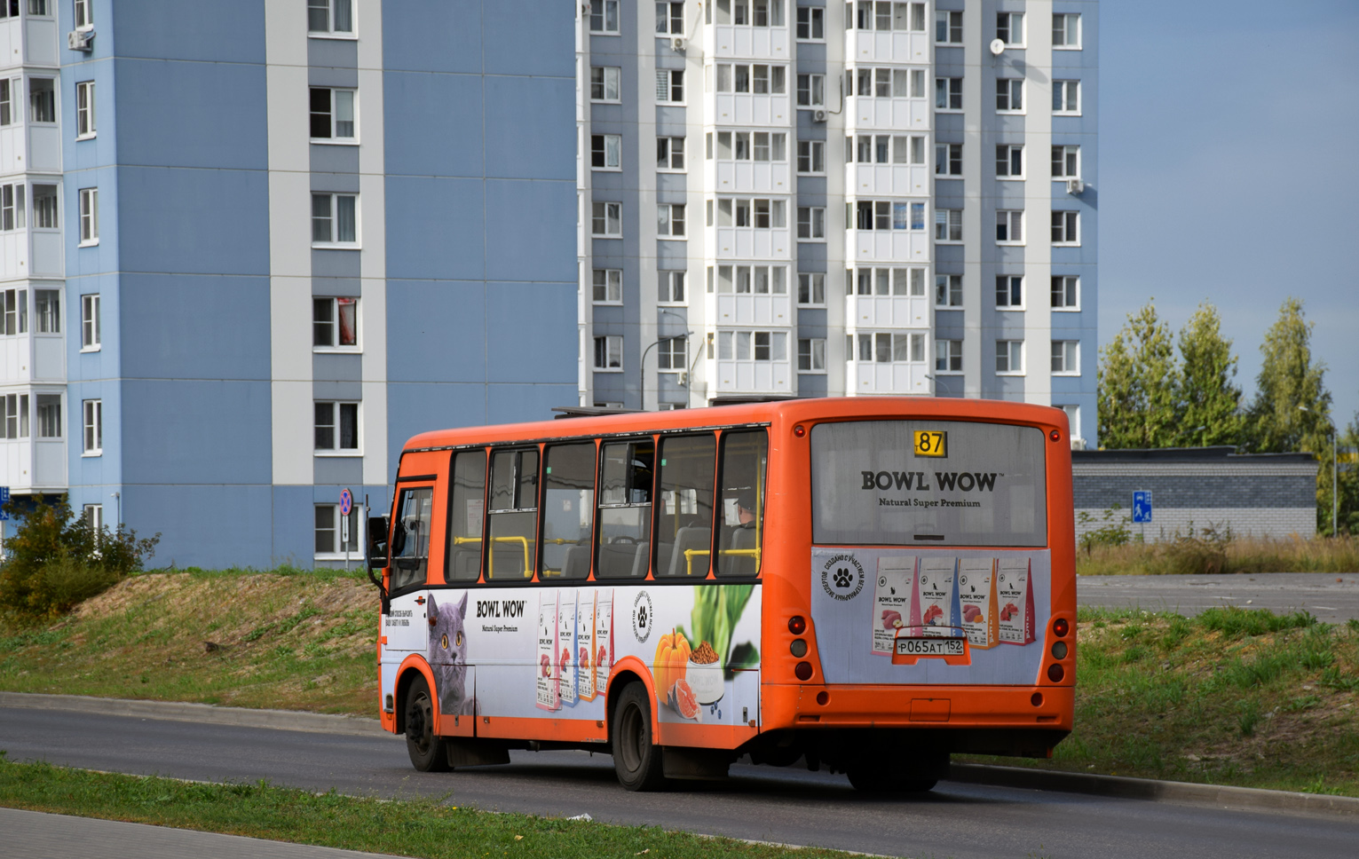 Nizhegorodskaya region, PAZ-320414-05 "Vektor" č. Р 065 АТ 152