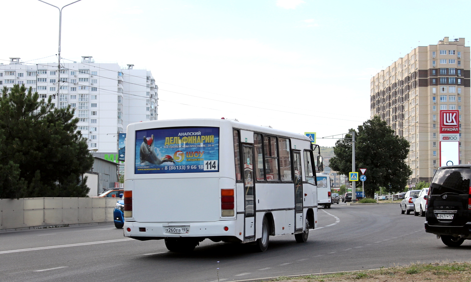 Краснодарский край, ПАЗ-320402-03 № Х 260 ЕВ 193