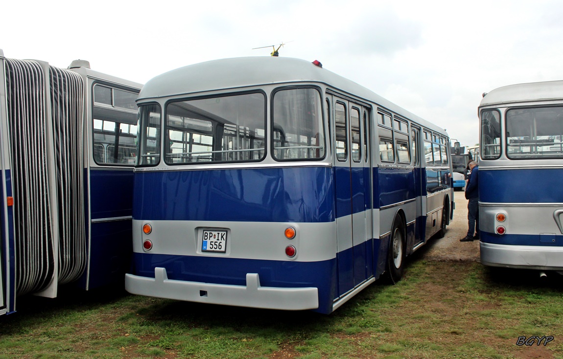 Венгрия, Ikarus 556 № BP IK-556; Венгрия — VI. Ikarus Találkozó, Aeropark (2024)