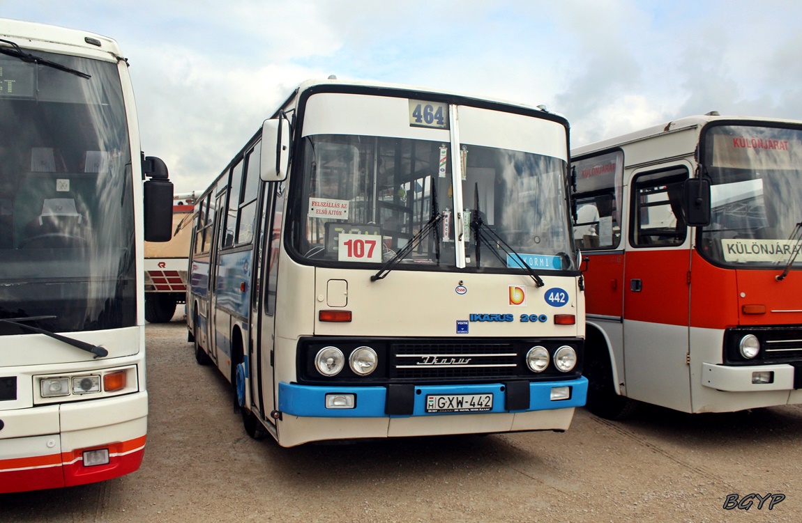 Венгрия, Ikarus 260.30M № 442; Венгрия — VI. Ikarus Találkozó, Aeropark (2024)