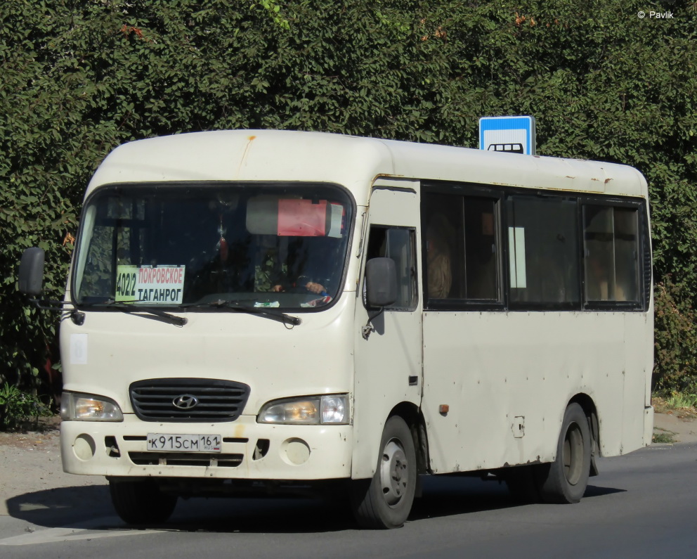 Ростовская область, Hyundai County SWB C08 (РЗГА) № 8