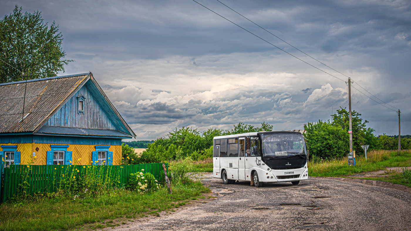 Могилёвская область, МАЗ-241.030 № 990