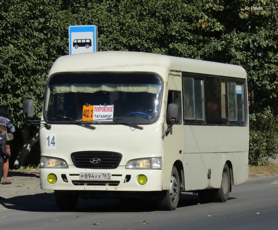 Ростовская область, Hyundai County SWB C08 (ТагАЗ) № 14