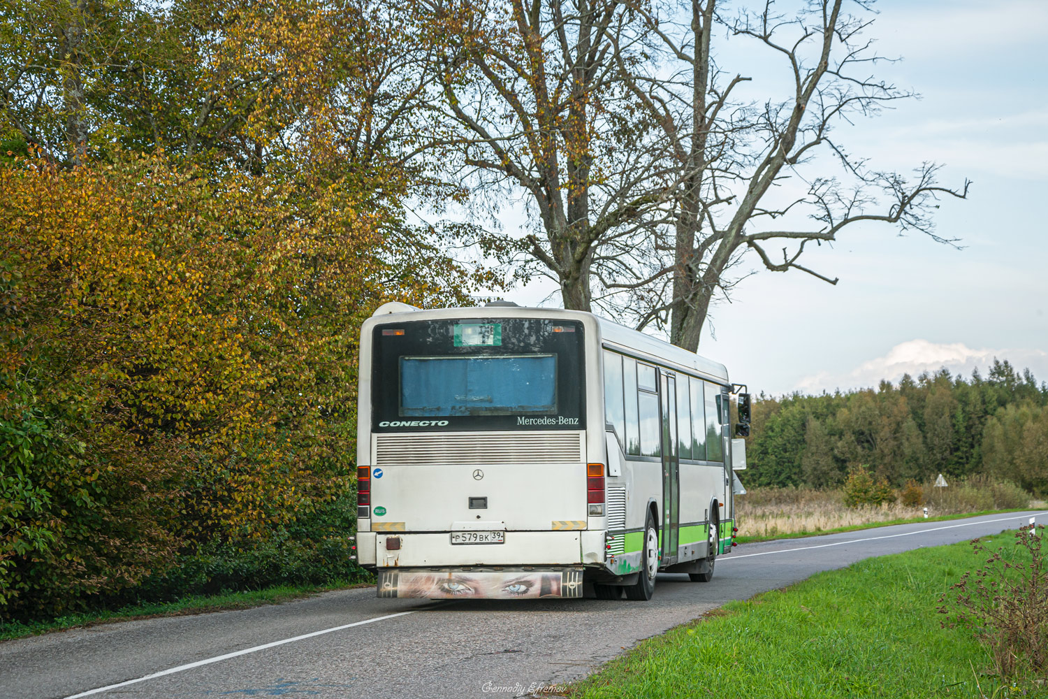 Калининградская область, Mercedes-Benz O345 Conecto H № Р 579 ВК 39