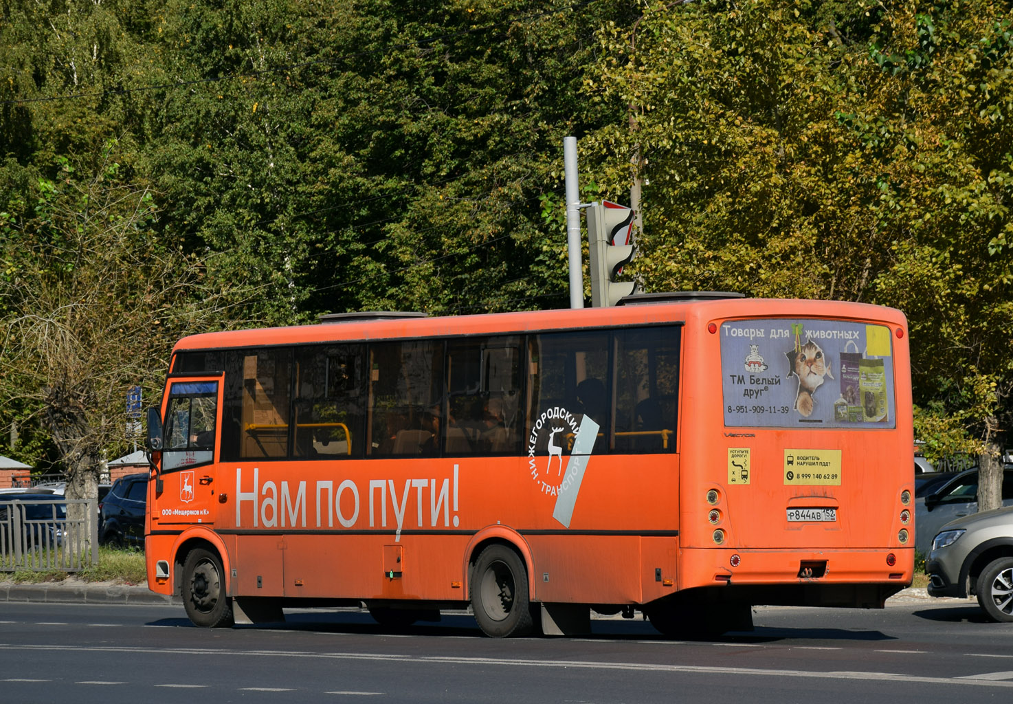 Нижегородская область, ПАЗ-320414-04 "Вектор" № Р 844 АВ 152